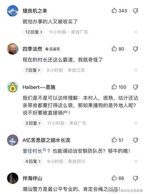 爆料被撞博主怎么办啊视频,博主如何应对网络爆料与舆论风波
